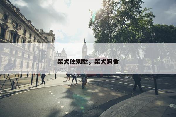 柴犬住别墅，柴犬狗舍