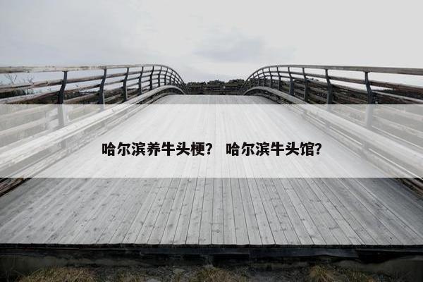 哈尔滨养牛头梗？ 哈尔滨牛头馆？