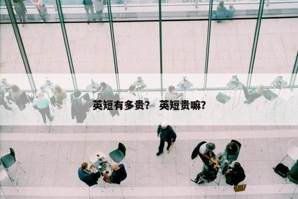 英短有多贵？ 英短贵嘛？