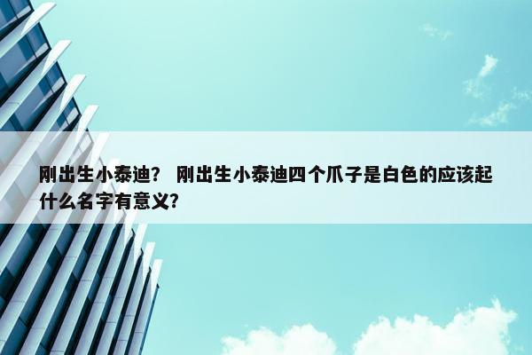 刚出生小泰迪？ 刚出生小泰迪四个爪子是白色的应该起什么名字有意义？