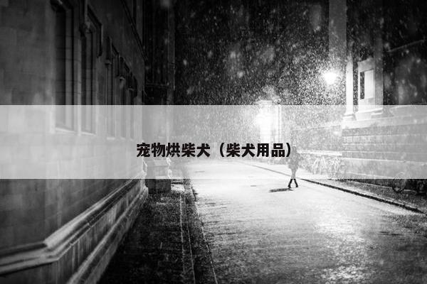 宠物烘柴犬（柴犬用品）