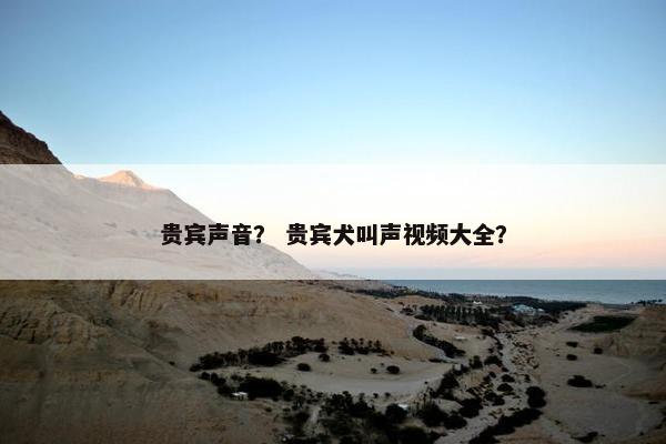 贵宾声音？ 贵宾犬叫声视频大全？