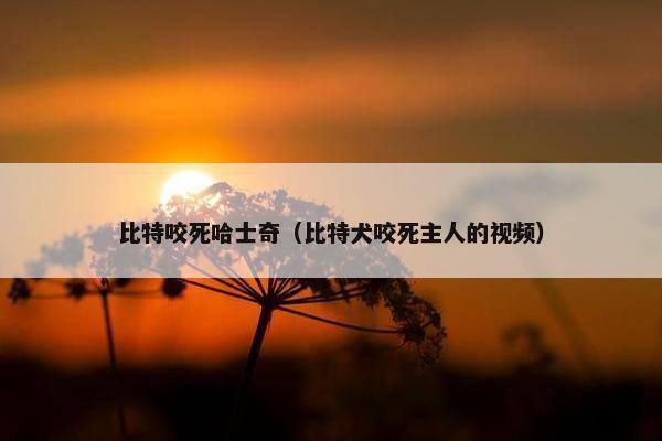比特咬死哈士奇（比特犬咬死主人的视频）