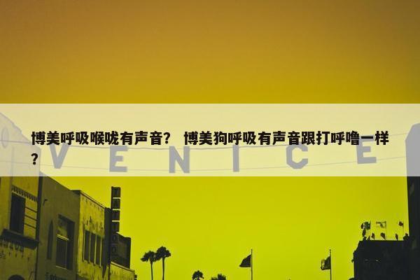 博美呼吸喉咙有声音？ 博美狗呼吸有声音跟打呼噜一样？