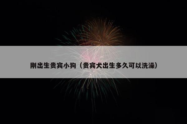 刚出生贵宾小狗（贵宾犬出生多久可以洗澡）