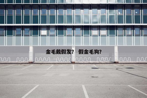 金毛戴假发？ 假金毛狗？