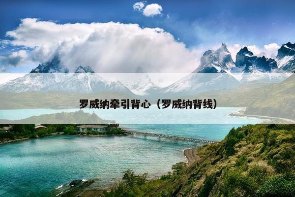 罗威纳牵引背心（罗威纳背线）