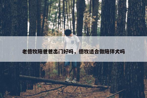 老德牧陪爸爸出门好吗，德牧适合做陪伴犬吗