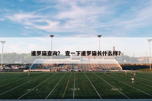 暹罗猫查询？ 查一下暹罗猫长什么样？