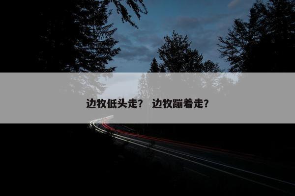边牧低头走？ 边牧蹦着走？