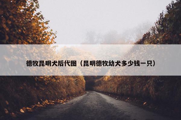 德牧昆明犬后代图（昆明德牧幼犬多少钱一只）