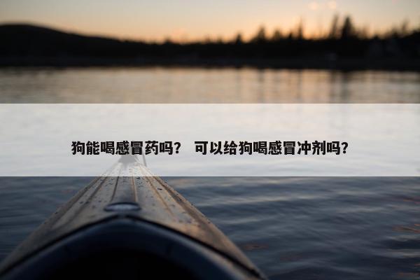 狗能喝感冒药吗？ 可以给狗喝感冒冲剂吗？