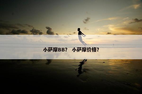 小萨摩BB？ 小萨摩价格？