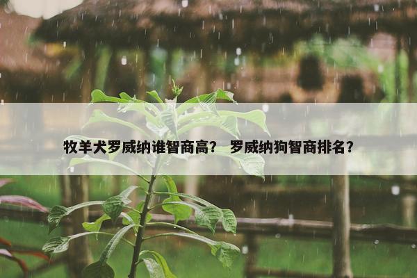 牧羊犬罗威纳谁智商高？ 罗威纳狗智商排名？