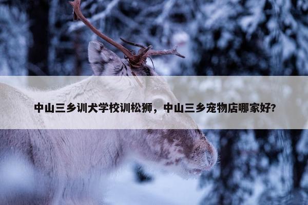 中山三乡训犬学校训松狮，中山三乡宠物店哪家好?
