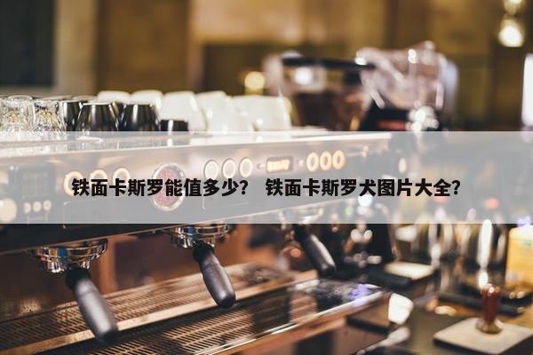 铁面卡斯罗能值多少？ 铁面卡斯罗犬图片大全？
