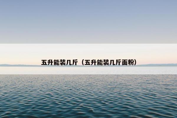 五升能装几斤（五升能装几斤面粉）