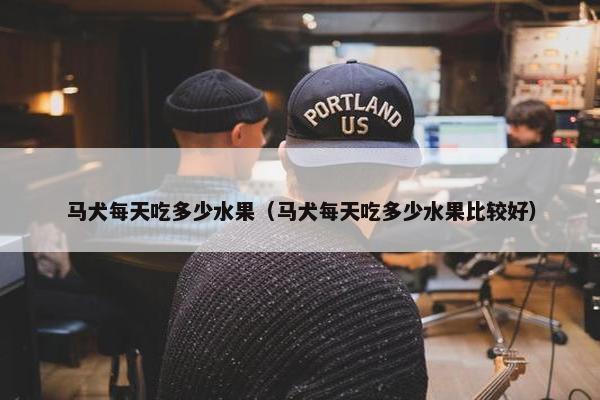 马犬每天吃多少水果（马犬每天吃多少水果比较好）