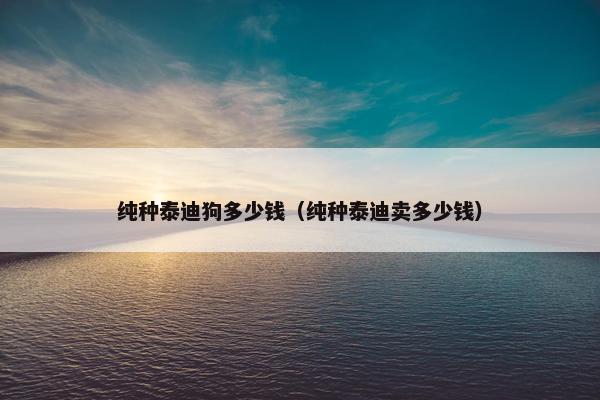 纯种泰迪狗多少钱（纯种泰迪卖多少钱）