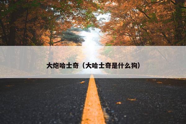大炮哈士奇（大哈士奇是什么狗）