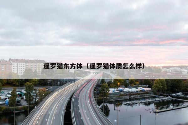 暹罗猫东方体（暹罗猫体质怎么样）