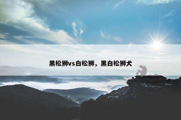 黑松狮vs白松狮，黑白松狮犬