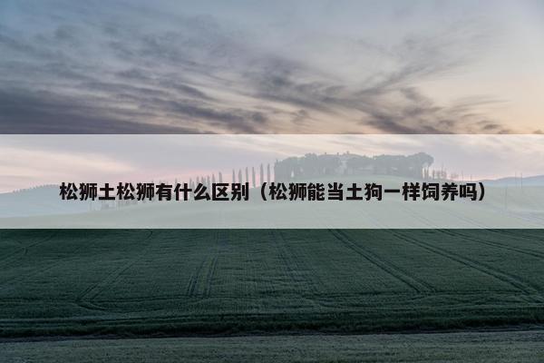 松狮土松狮有什么区别（松狮能当土狗一样饲养吗）