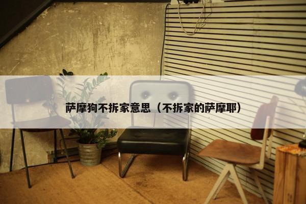 萨摩狗不拆家意思（不拆家的萨摩耶）