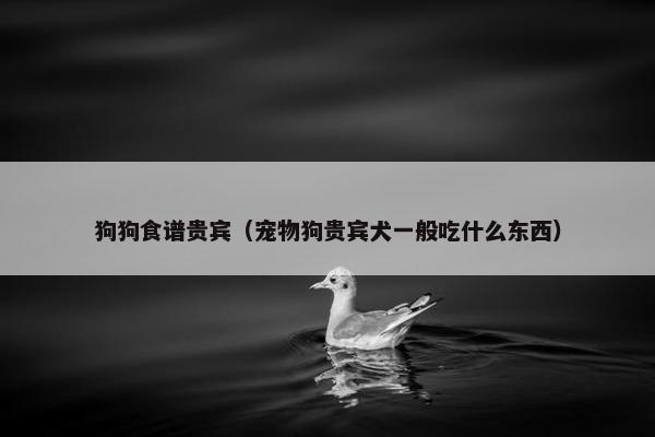 狗狗食谱贵宾（宠物狗贵宾犬一般吃什么东西）
