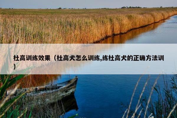 杜高训练效果（杜高犬怎么训练,练杜高犬的正确方法训）