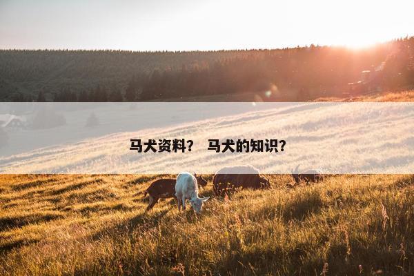 马犬资料？ 马犬的知识？