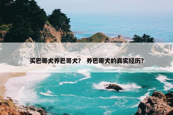 买巴哥犬养巴哥犬？ 养巴哥犬的真实经历？