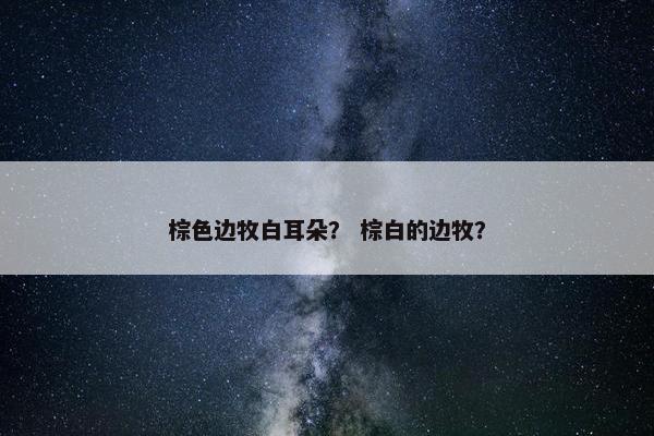 棕色边牧白耳朵？ 棕白的边牧？