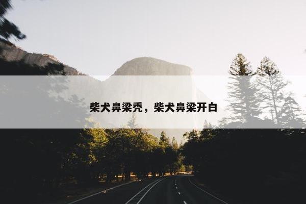 柴犬鼻梁秃，柴犬鼻梁开白