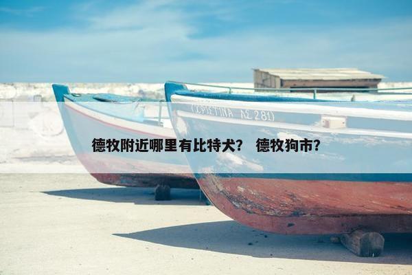 德牧附近哪里有比特犬？ 德牧狗市？