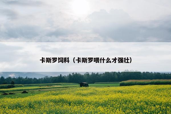 卡斯罗饲料（卡斯罗喂什么才强壮）