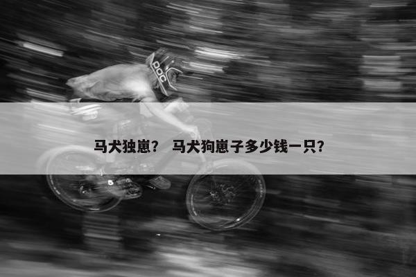 马犬独崽？ 马犬狗崽子多少钱一只？