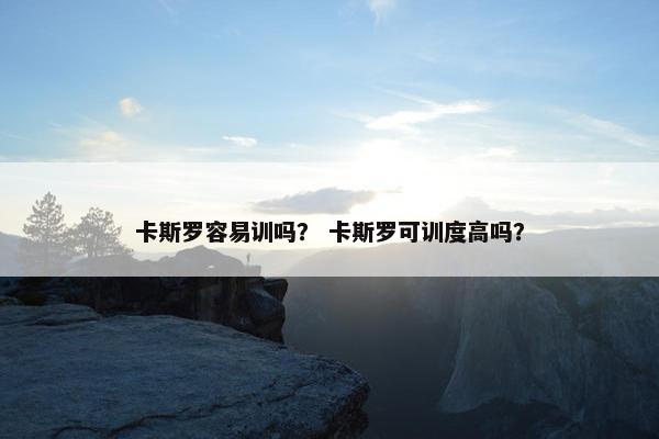 卡斯罗容易训吗？ 卡斯罗可训度高吗？