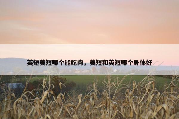 英短美短哪个能吃肉，美短和英短哪个身体好