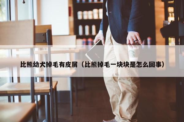 比熊幼犬掉毛有皮屑（比熊掉毛一块块是怎么回事）