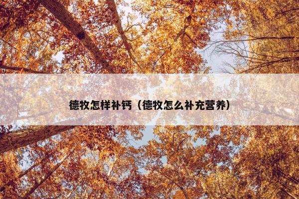 德牧怎样补钙（德牧怎么补充营养）