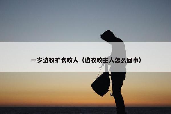 一岁边牧护食咬人（边牧咬主人怎么回事）