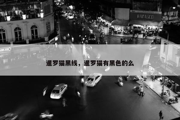 暹罗猫黑线，暹罗猫有黑色的么