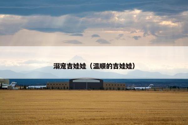 溺宠吉娃娃（温顺的吉娃娃）