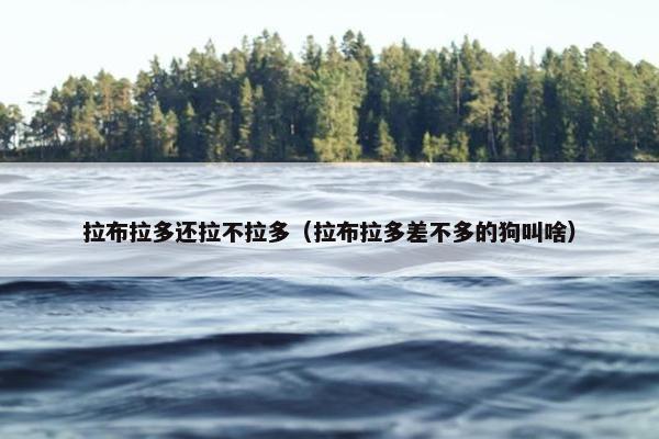 拉布拉多还拉不拉多（拉布拉多差不多的狗叫啥）
