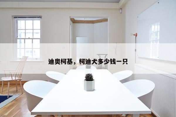 迪奥柯基，柯迪犬多少钱一只