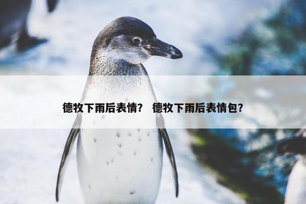 德牧下雨后表情？ 德牧下雨后表情包？
