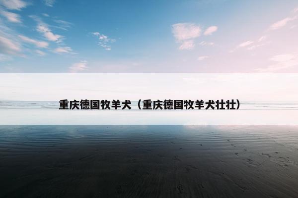 重庆德国牧羊犬（重庆德国牧羊犬壮壮）