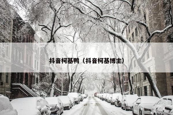 抖音柯基鸭（抖音柯基博主）