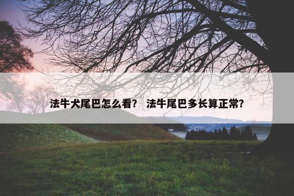 法牛犬尾巴怎么看？ 法牛尾巴多长算正常？